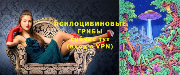 крисы Балахна
