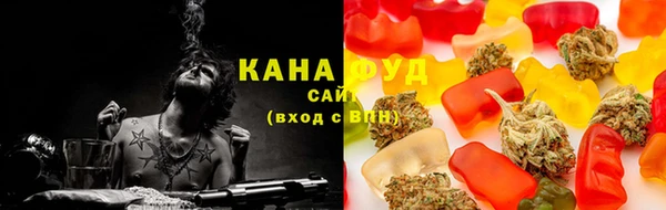 Альфа ПВП Инсар