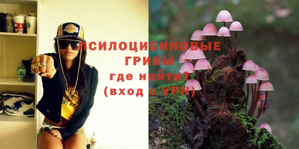 гашик Армянск