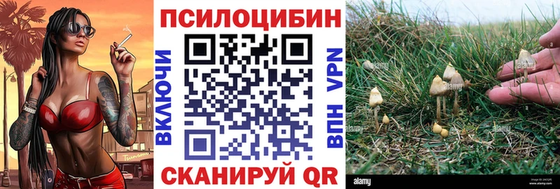 Галлюциногенные грибы MAGIC MUSHROOMS  купить наркотики сайты  Радужный 