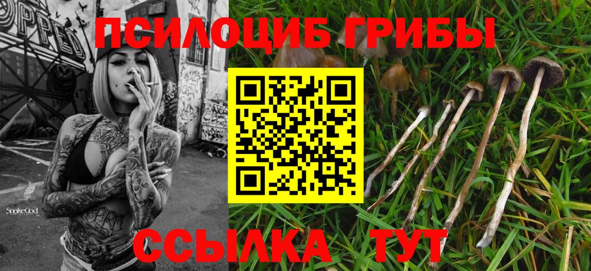Галлюциногенные грибы мицелий  Вход с VPN  Радужный 